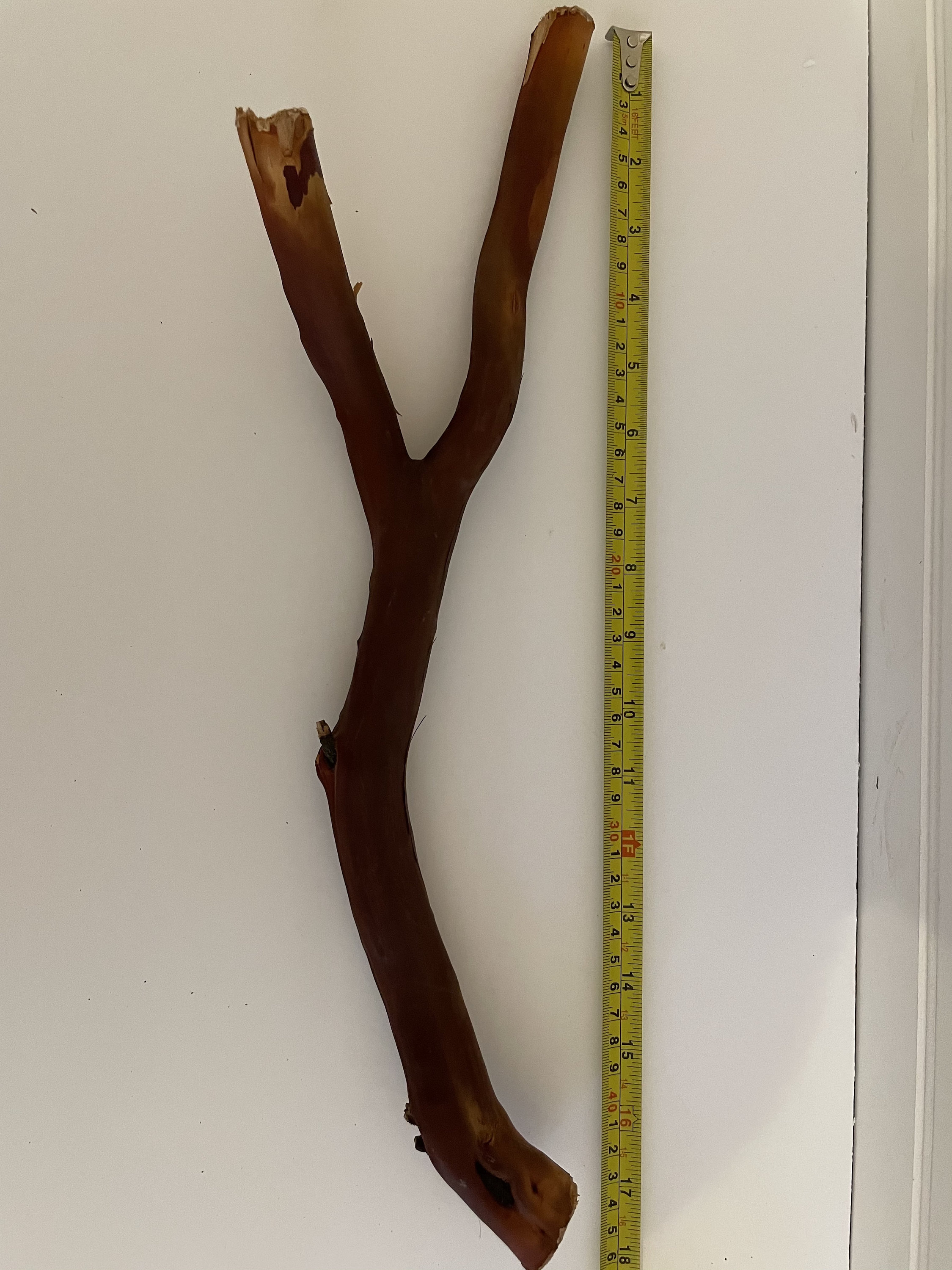 Manzanita Driftwood Decor18in Etsy