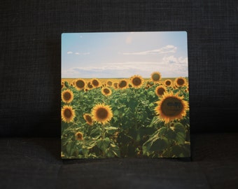 A Field of Sun- Fine Art Photography Print, Landscape Photography, Wall Art, Metal Print, Sunflower, Field, Color