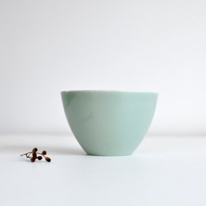 May include: A pale green ceramic bowl with a rounded shape. The bowl has a smooth, matte finish. A small sprig of dried berries sits near the bowl on a white surface.