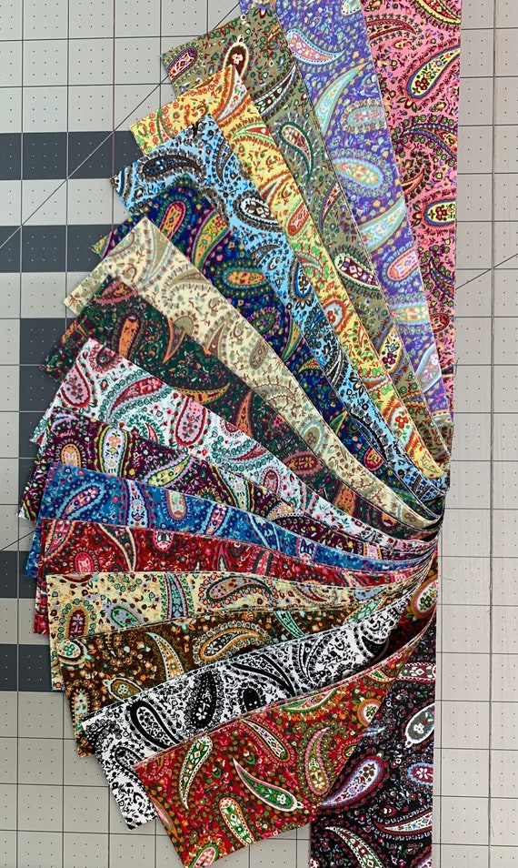 34pc strips Cowgirl Crazy Paisley