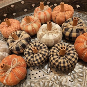 Country Rustic Primitive Farmhouse Homespun Folk Art Fall Autumn Mini Pumpkins Tier Tray Bowl Filler Home Decor