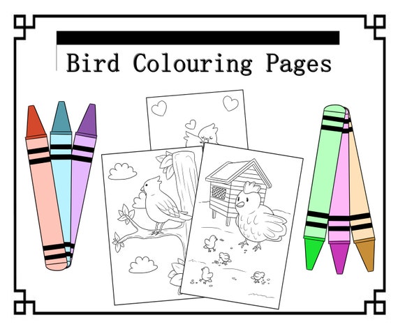 Digital Bird Colouring Pages for Kids and Adults Printable 5