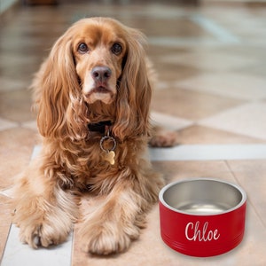 Personalized 32 oz. Stainless Steel Pet Bowl - Create Your Own Design