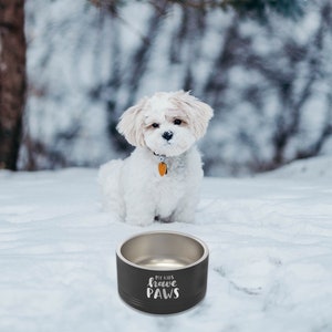 Personalized 18 oz. Stainless Steel Pet Bowl - Create Your Own Design
