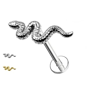 Borchie Cartilagine Serpente