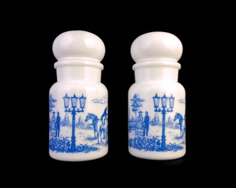 Vintage Gewürzglas Set, Gewürz Aufbewahrungsbox Set