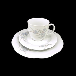 Vintage Bavarian Porcelain Trio Set, Breakfast Porcelain Trio Set Germany