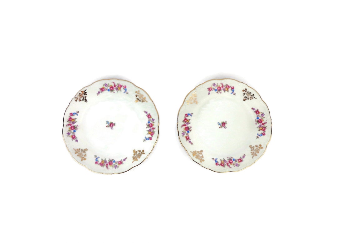 Vintage Porcelain Plates Set of 2, Bavarian Porcelain Plates Set