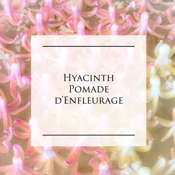 Darren Alan Perfumes Hyacinth Pommade d'Enfleurage Hand Made Artisanal Fragrance