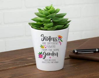 Thoughtful Sister Flower Pot, Floral Themed Sisters Gift, Gift for Sister Flower Pot, Sister Plant Pot