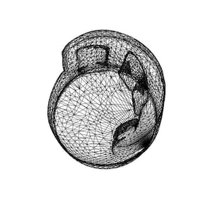 May include: A spherical object constructed from a dense, black wireframe mesh. The structure features a complex, interconnected web of thin lines forming a rounded, hollow shape with visible internal depth and a textured, geometric surface pattern.