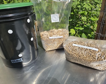 5-Gallon Mushroom Bucket Grow Kit: DIY Oyster Mushrooms