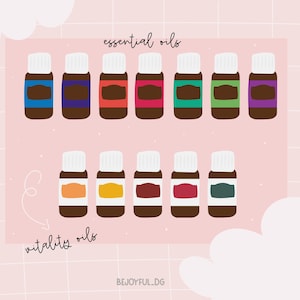 Ilustrações de clipart de óleos essenciais - imagens PNG - Clipart de óleos vivos jovens - Clipart de difusores PNG - Clipart desenhado à mão