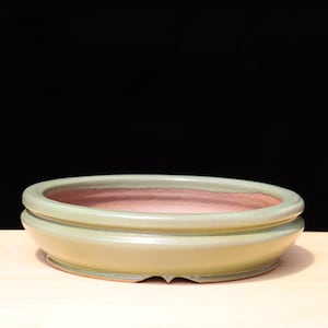 May include: A light green ceramic bonsai pot with a reddish-brown interior. The oval-shaped pot has a double-layered rim and a low profile. The pot is approximately 10 inches in diameter and 3 inches tall.