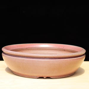 May include: A round, low-profile bonsai pot in a muted rose colour. The ceramic pot has a wide rim and a slightly textured surface. The pot is designed with drainage holes and is suitable for growing small trees or plants.