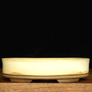 Small oval bonsai pot (7 1/4")