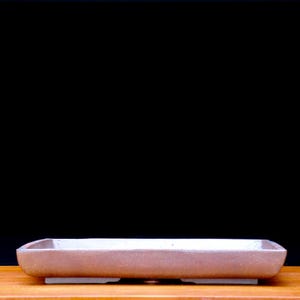 以下が含まれることがあります： わずかに縁が盛り上がった長方形の、薄茶色の盆栽鉢。 鉢はセラミック製で、黒い背景に対して木製の表面に置かれています。 鉢の長さは約30cmです。