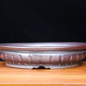 May include: A brown, oval bonsai pot with a wide, decorative rim. The pot is made of ceramic and has a textured surface. The rim features a repeating pattern of vertical lines. The pot sits on a wooden surface.