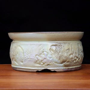 May include: A cream ceramic plant pot with a low, wide design. The exterior has a detailed relief pattern of leaves and flowers. The rim is slightly flared, and the base is a darker brown.