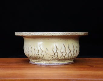 Round bonsai pot ( 10 1/2")