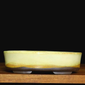 Small oval bonsai pot (7 1/2")