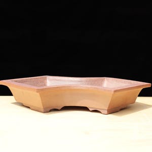 Op de afbeelding: Een lichtbruine, zeshoekige bonsai pot met een licht gebogen rand. De pot heeft een eenvoudig, elegant ontwerp met kleine voetjes voor stabiliteit. De achtergrond is effen zwart, wat de vorm en kleur van de pot benadrukt.