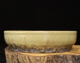 Small round bonsai pot ( 7 3/4")