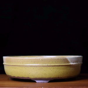 Round bonsai pot ( 12 1/2")