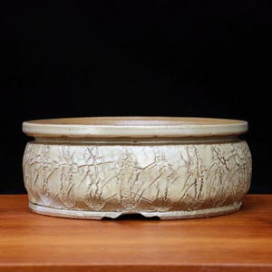 May include: A beige ceramic bonsai pot with a textured, crackled surface. The round pot has a wide, shallow design with a slightly raised rim. The pot sits on a wooden surface against a black background.