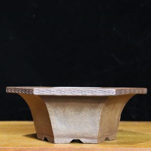 Op de afbeelding: Een zeshoekige bonsai pot in bronskleur met een decoratieve rand. De pot heeft een uitlopende vorm en staat op vier kleine voetjes. De achtergrond is donker en effen.