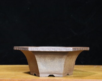 Hexagonal bonsai pot ( 10")