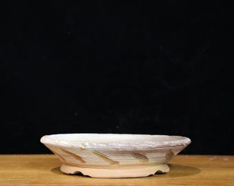 Round bonsai pot ( 10")