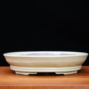 May include: A beige ceramic bonsai pot with a wide, shallow design. The oval-shaped container has a slightly textured surface and a raised base with four feet. The interior is a darker shade of brown.