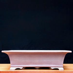 Op de afbeelding: Een rechthoekige, lichtbruine bonsai pot met een gebogen rand en een platte bodem. De pot is gemaakt van keramiek en is ontworpen voor het planten van kleine bomen. De pot is ongeveer 30 cm lang en 20 cm breed.