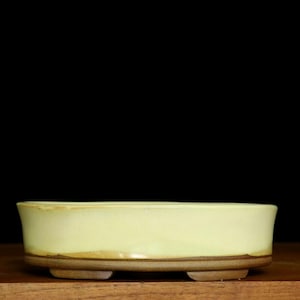 Small oval bonsai pot (7 1/2")