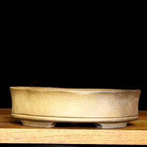 Small lotus bonsai pot (7 1/2")