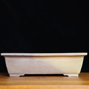 May include: A rectangular, beige bonsai pot with a slightly textured surface. The pot has a low profile with a flat base and four small feet. The sides are gently sloped. The pot is designed for bonsai cultivation.