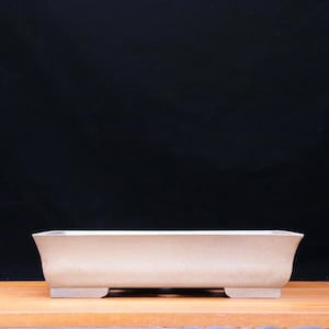 May include: A rectangular, beige bonsai pot with a slightly curved design. The pot sits on two rectangular feet and has a light-coloured interior. The background is a solid black.