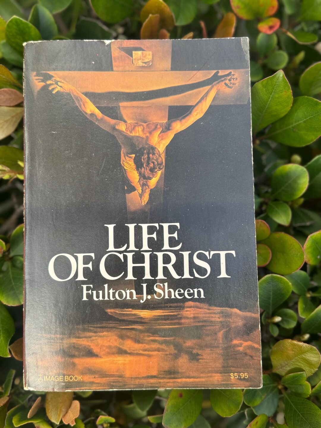 Vintage 1958 the Life of Christ by Fulton Sheen Softcover - Etsy Canada