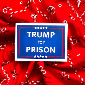 Trump for Prison Sticker, Waterproof Matte Vinyl