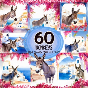 60 Donkey Clipart PNG, Farm Donkey Clipart, Cute Donkey Clipart, Watercolor Donkey Clipart, Funny Donkey Clipart, Baby Donkey Clipart Print