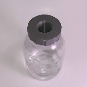 Fruit Fly Trap