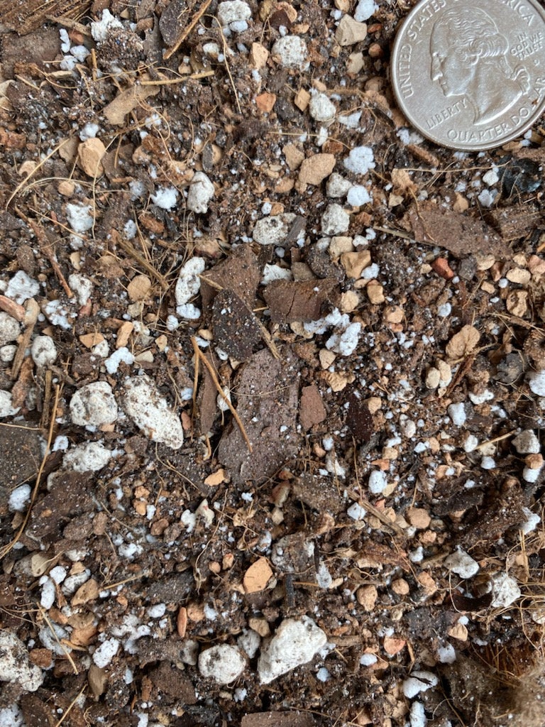 Sol Soils Houseplant Chunky Mix houseplant Potting Soil Etsy