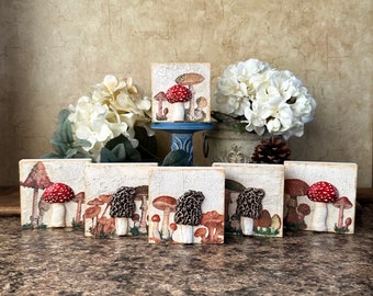 Mushroom Tier Tray Decor/Shelf Sitter/Morel Mushroom/Red Mushroom Decor/Fall Decor/Wood Sign/Nature lover/Naturecore/Block Sign