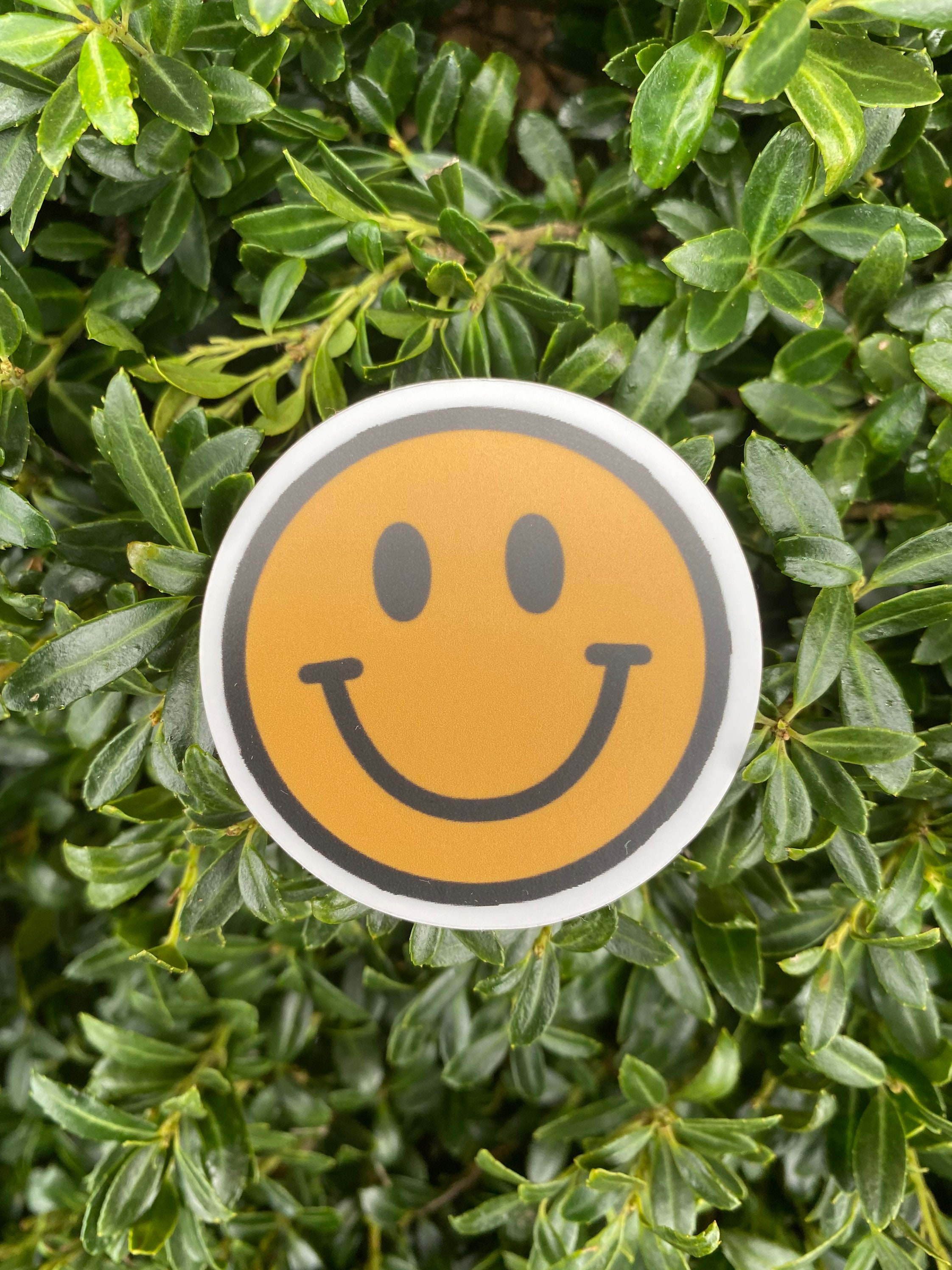 Y2k Sticker Pack 2000s Stickers Y2k Smiley Face 2000s Etsy