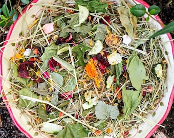 Tortoise Greens, Veggies, Herbs, & Flower Snack  Mix | For Mediterranean, Desert, and Russian Tortoises | High Fiber, Low Sugar