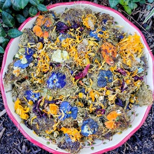 Tortoise Chews with Hay, Leaves, & Flowers | For Mediterranean, Russian, and Hermann’s Tortoises | High Fiber