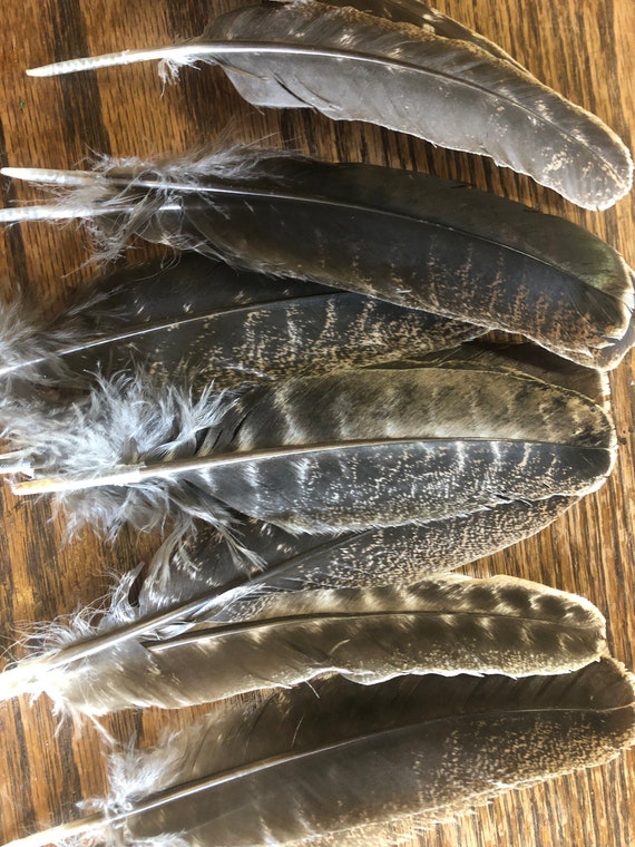 assorted turkey feathers for smoke cleansing, rituals, decorations & many more spiritual and mundane uses approx 8-10”, ink feather