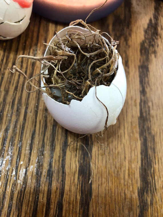 Extremely powerful Egg Protection spell for personal protection from physical, mental & spiritual harm and malicious energy