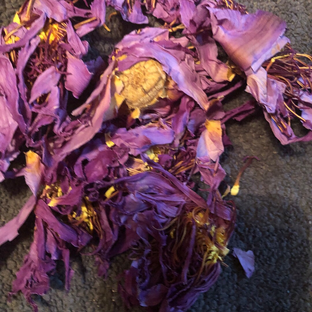 sacred-egyptian-blue-lotus-ritual-herb-tea-etsy